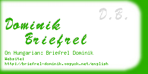 dominik briefrel business card